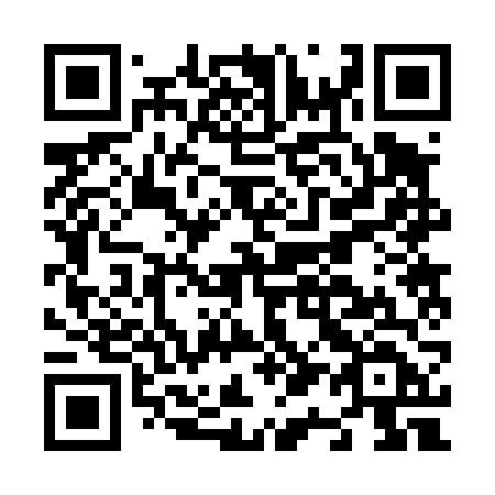 QR code for N12-46D