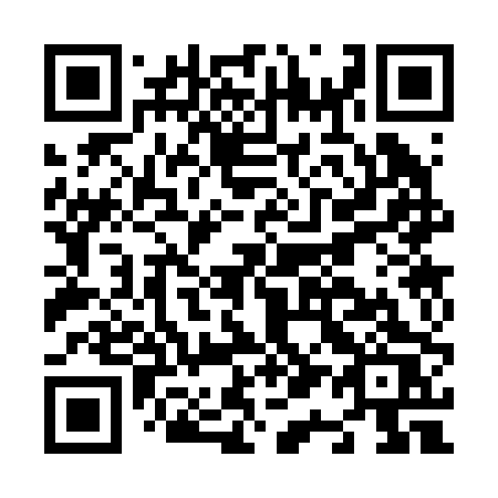 QR code for plate N13-20S