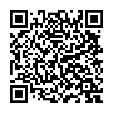 QR code for N1341L