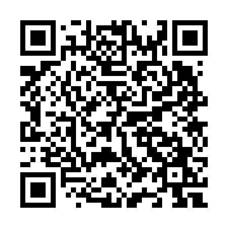 QR code for plate N13-66O