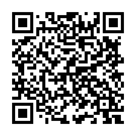 QR code for plate N13-80Z