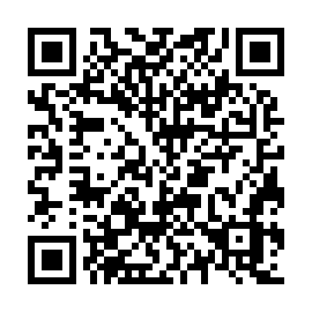 QR code for N17-97Z
