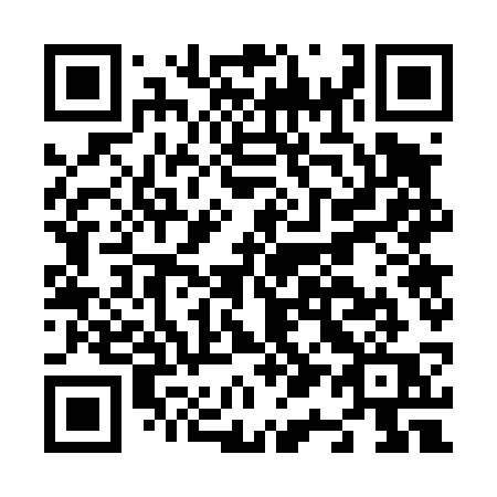 QR code for N1743Q