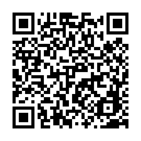 QR code for plate N17-46B