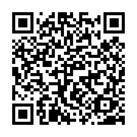 QR code for N1746X