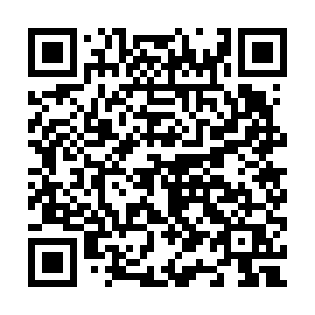 QR code for plate N17-65Q