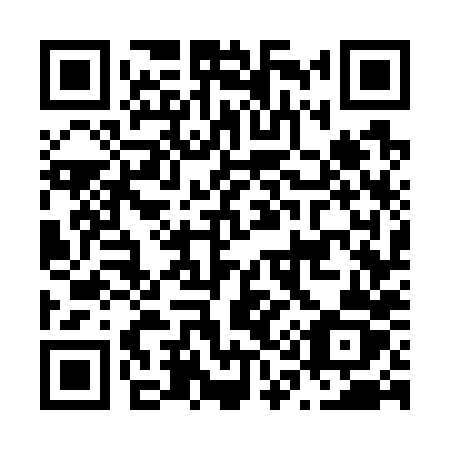 QR code for plate N17-78Z