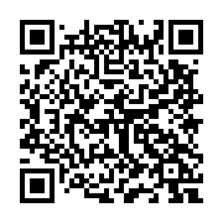 QR code for plate N19-54G