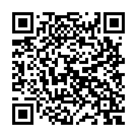 QR code for plate N20-10Z