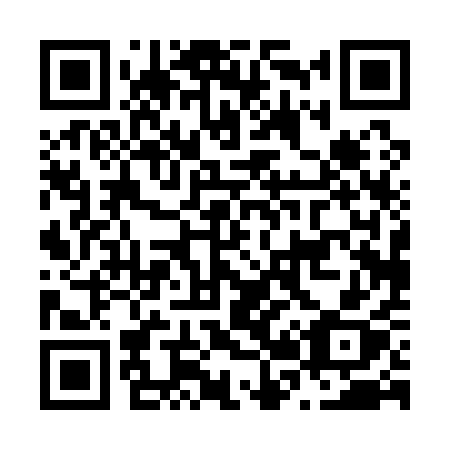 QR code for N2011X