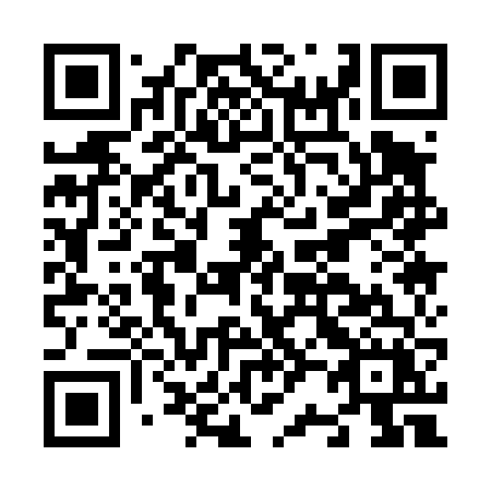 QR code for plate N21-46X