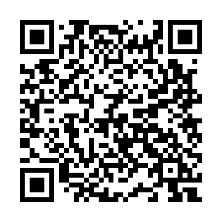 QR code for N2210I