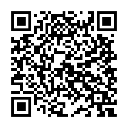 QR code for plate N22-58P