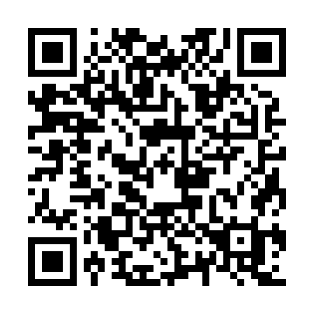 QR code for N2387I