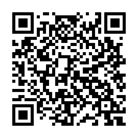 QR code for plate N27-13G
