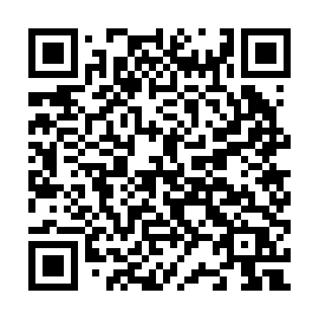 QR code for plate N27-24P