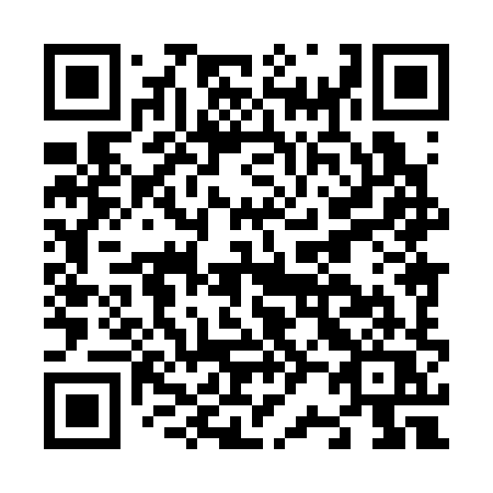 QR code for N2838Q