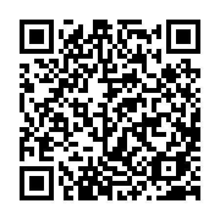 QR code for plate N30-29A
