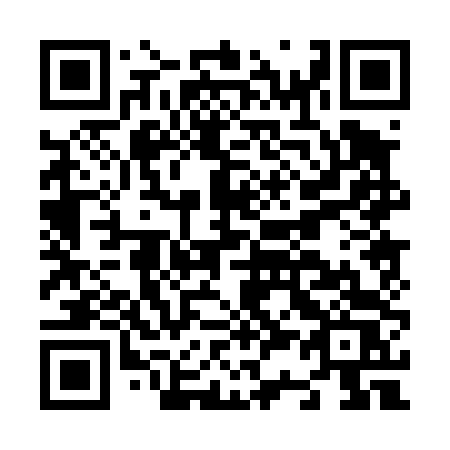 QR code for plate N30-44S