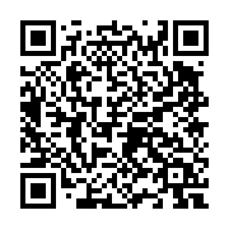 QR code for N31-45T