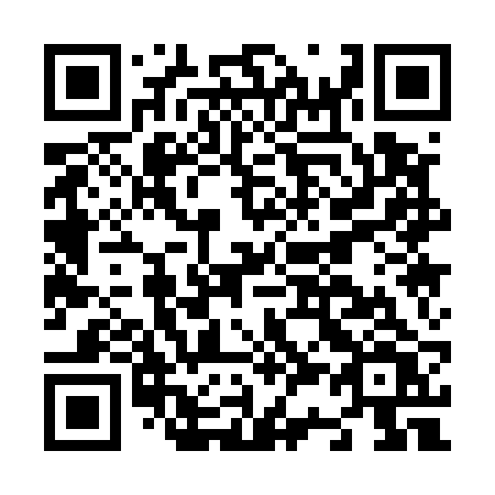 QR code for N31-52V