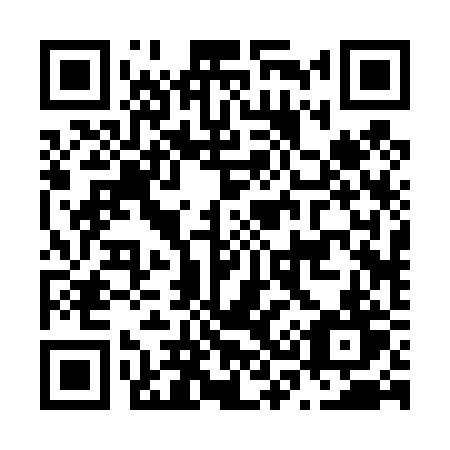 QR code for plate N32-42T