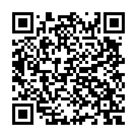 QR code for N33-46O