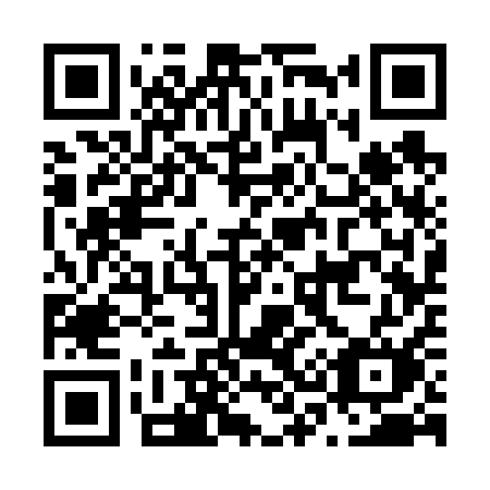 QR code for plate N33-61M