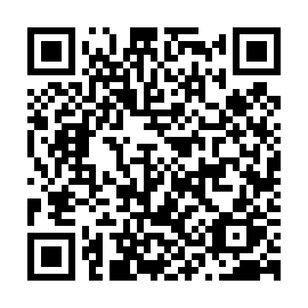 QR code for plate N36-42P