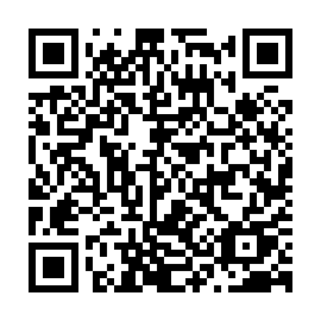 QR code for plate N36-81U