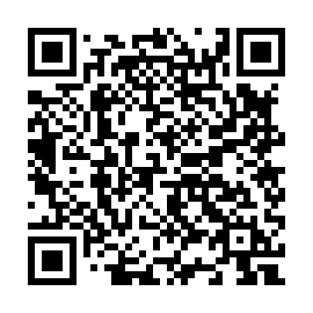 QR code for N37-81H