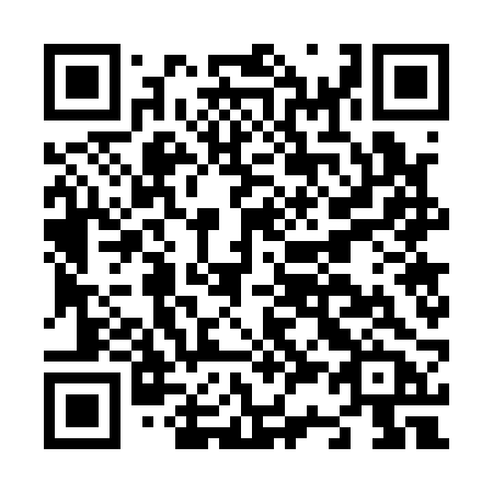 QR code for plate N37-12B