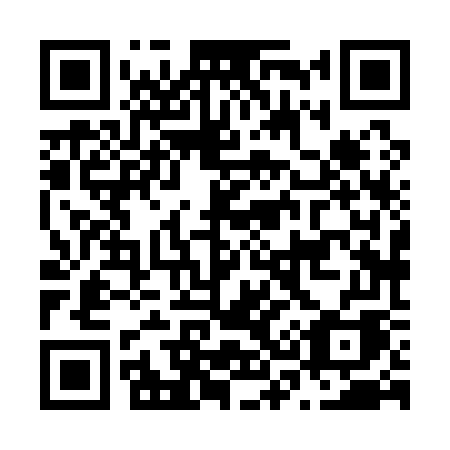 QR code for N38-17A