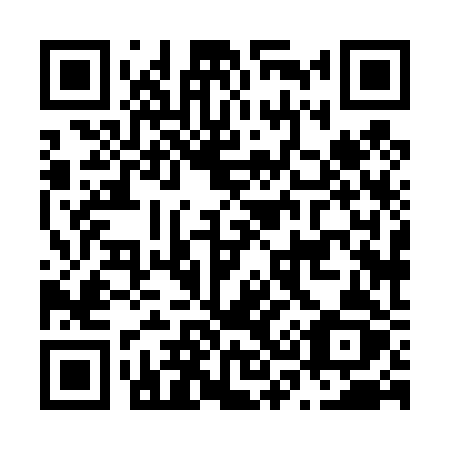 QR code for N38-42Z