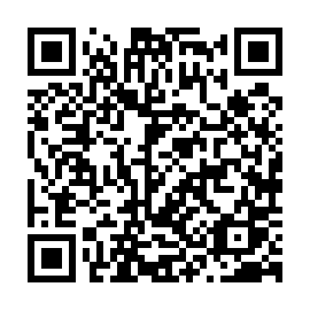 QR code for N38-50S