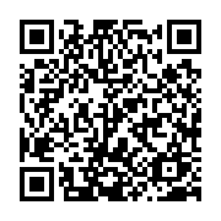 QR code for N38-73W