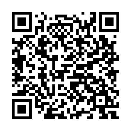 QR code for N3810M