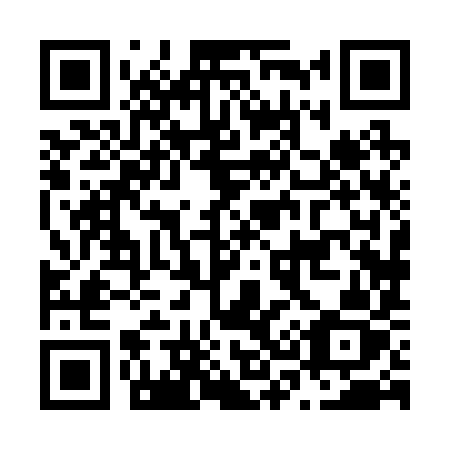 QR code for N3829Z