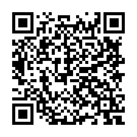 QR code for N3987Z