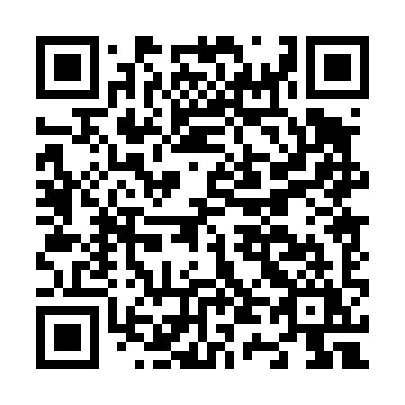 QR code for plate N40-49Y