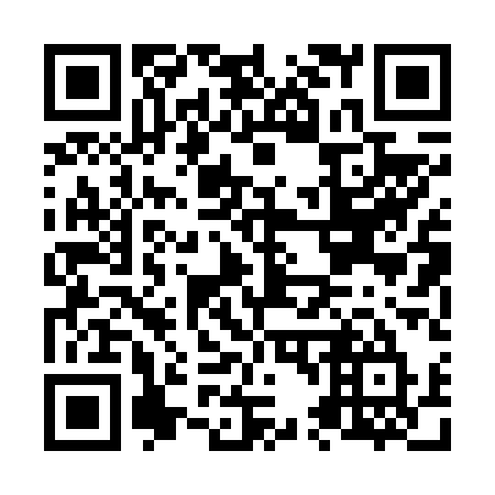 QR code for plate N40-61U