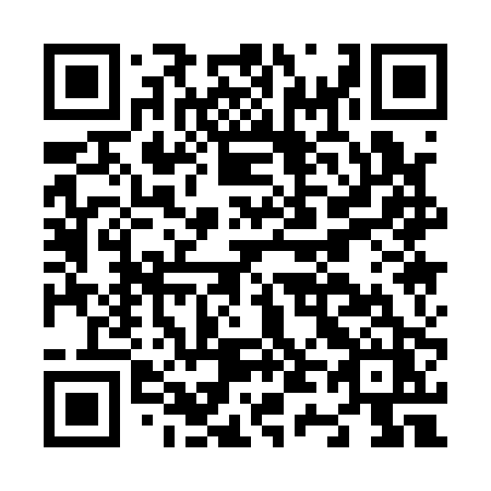 QR code for N4110Z