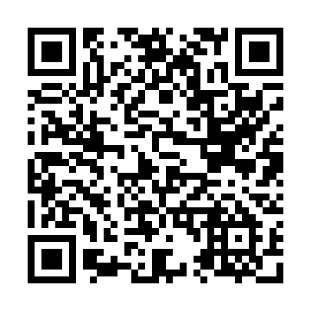QR code for N4203M