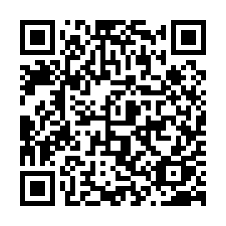 QR code for N43-11P