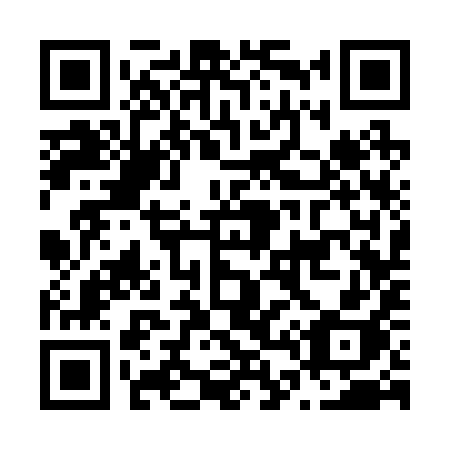 QR code for N43-29H