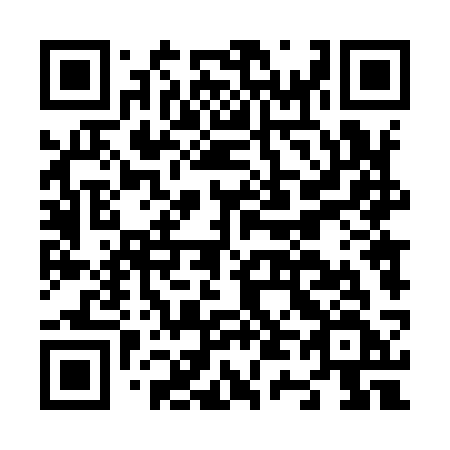 QR code for N4493F