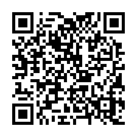 QR code for N4533Z