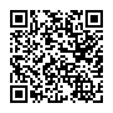 QR code for plate N45-36T