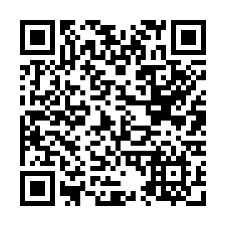 QR code for N46-33N