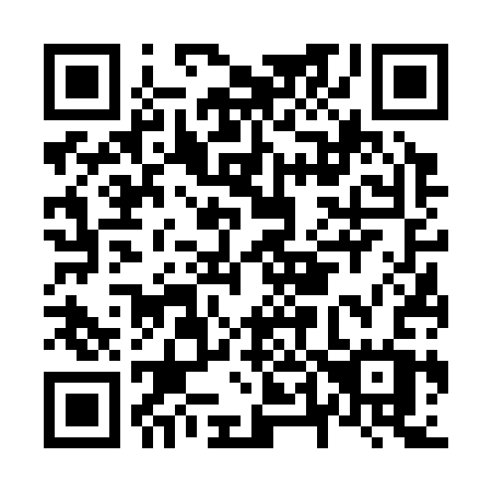 QR code for N46-33W